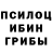 Псилоцибиновые грибы мицелий Edik shisyr