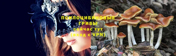 герыч Вяземский
