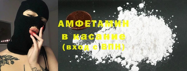 индика Вязьма
