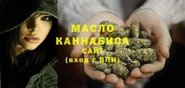 индика Вязьма