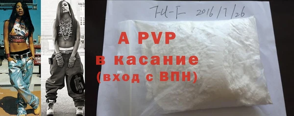 индика Вязьма