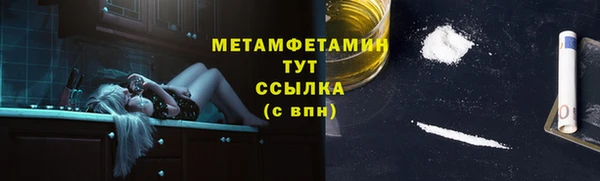 индика Вязьма