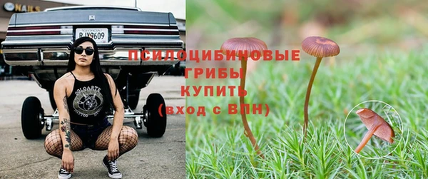 индика Вязьма