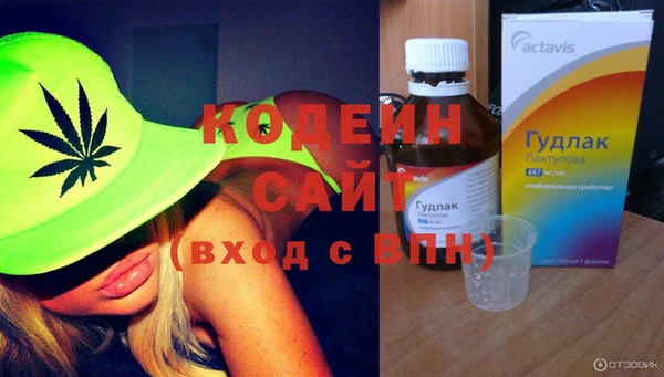 индика Вязьма