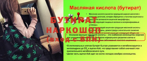 индика Вязьма