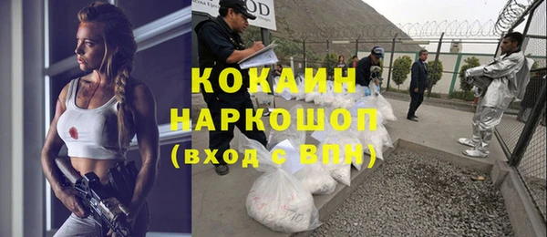 индика Вязьма