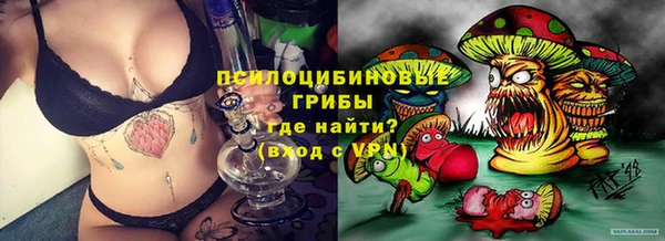 герыч Вяземский