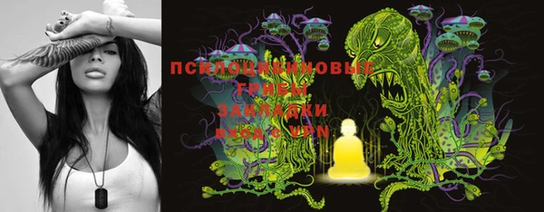 герыч Вяземский