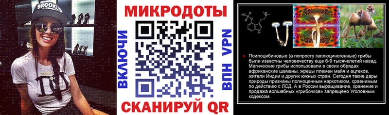 Купить где  Богданович  Галлюциногенные грибы MAGIC MUSHROOMS 